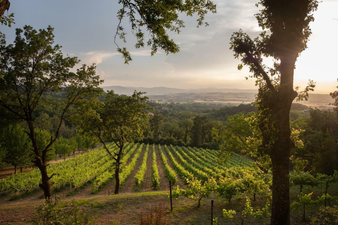 Agriturismo Le Cerque Collazzone Kültér fotó
