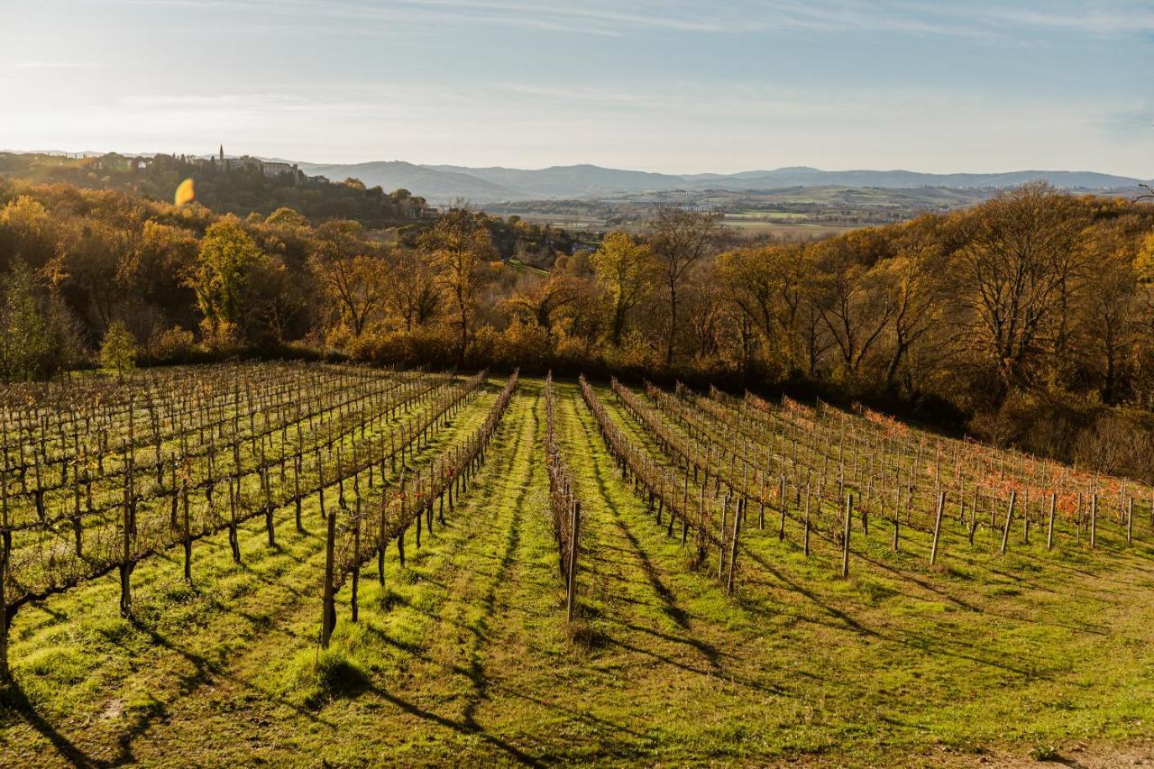Agriturismo Le Cerque Collazzone Kültér fotó
