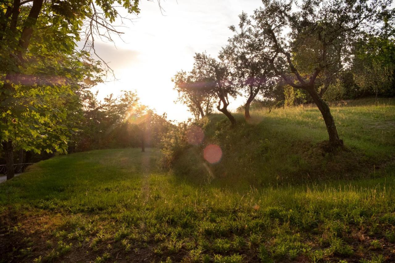 Agriturismo Le Cerque Collazzone Kültér fotó